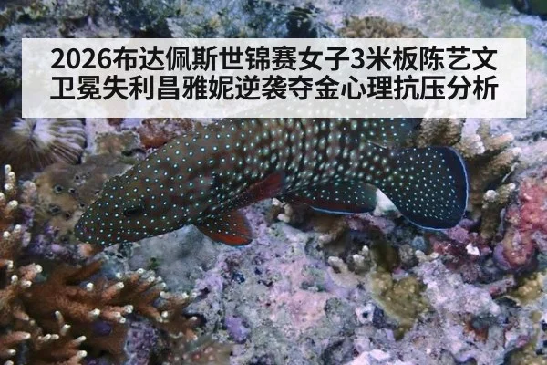 2026布达佩斯世锦赛女子3米板陈艺文卫冕失利昌雅妮逆袭夺金心理抗压分析