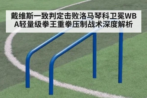 戴维斯一致判定击败洛马琴科卫冕WBA轻量级拳王重拳压制战术深度解析