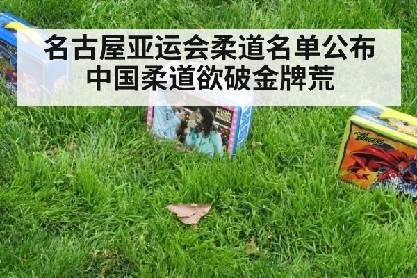 名古屋亚运会柔道名单公布 中国柔道欲破金牌荒