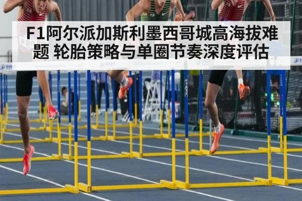 F1阿尔派加斯利墨西哥城高海拔难题 轮胎策略与单圈节奏深度评估