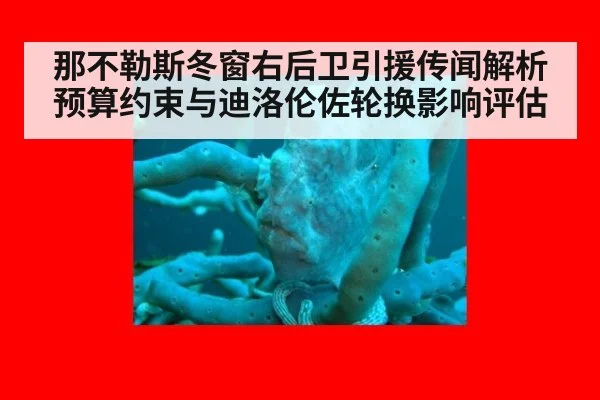 那不勒斯冬窗右后卫引援传闻解析 预算约束与迪洛伦佐轮换影响评估